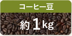 1kg