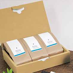 ����Ʀ500��/200��/100�祬���å���